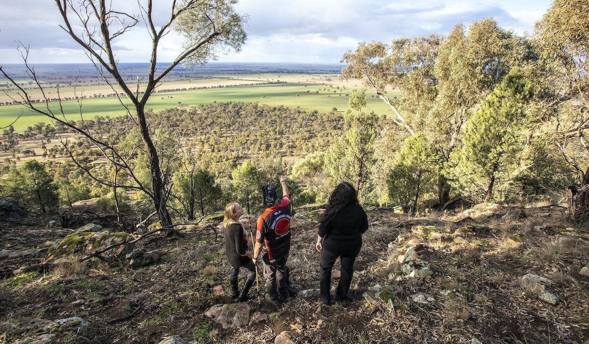 New South Wales: Beach to Bush Road Trip