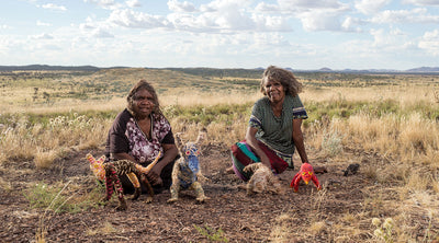 Aboriginal Sculptures – Welcome To Country - Shop